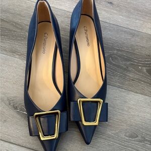C. Paravano Metal Tie
Pumps (Olivia) EU 40/ US
9.5